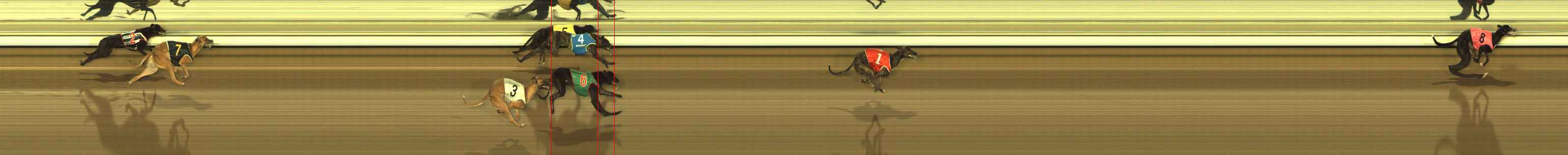 Race result finish photo